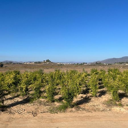 Villas Persas By Jardin De Persia Valle de Guadalupe Exteriér fotografie