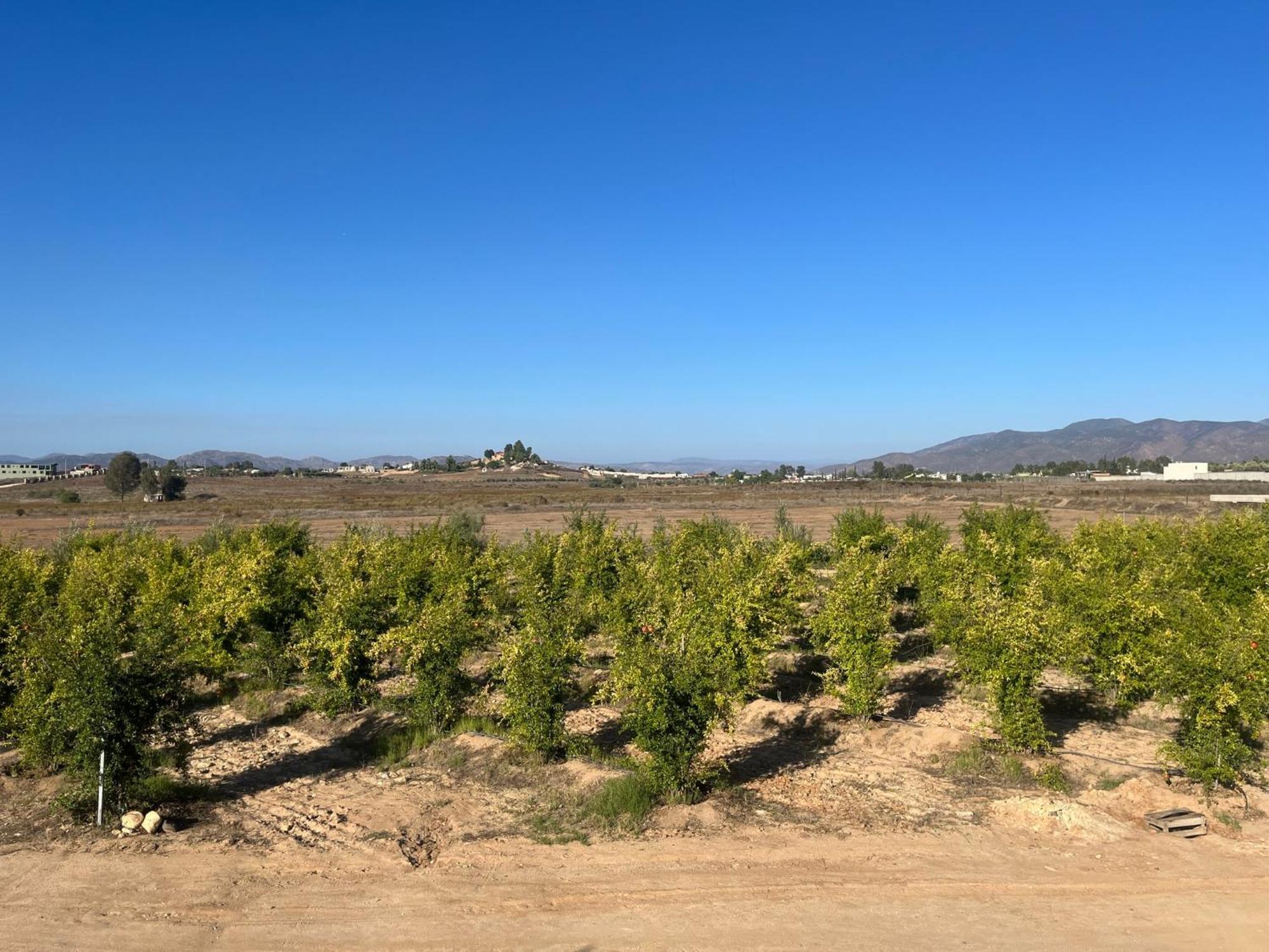 Villas Persas By Jardin De Persia Valle de Guadalupe Exteriér fotografie